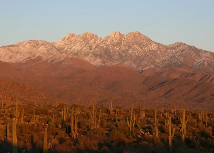 Southwestern Siesta