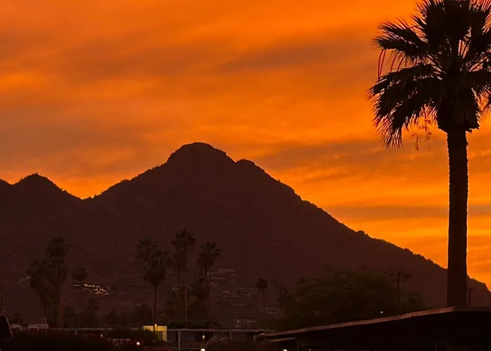 Southwestern Siesta Scottsdale